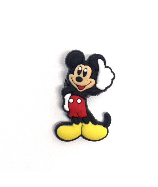 CROCS TERLİK SÜSÜ & RENKLİ AKSESUAR JİBBİTZ