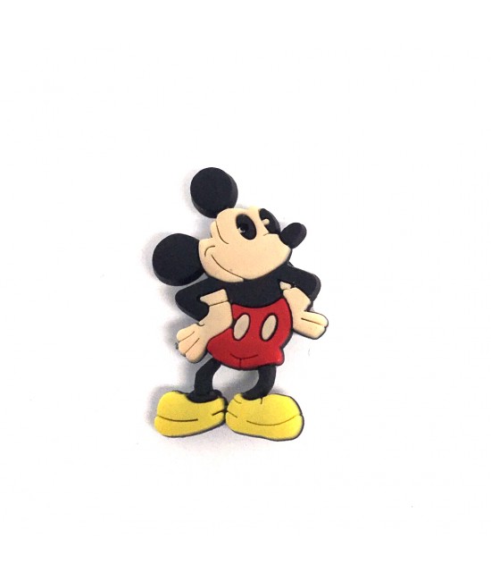 CROCS TERLİK SÜSÜ & RENKLİ AKSESUAR JİBBİTZ