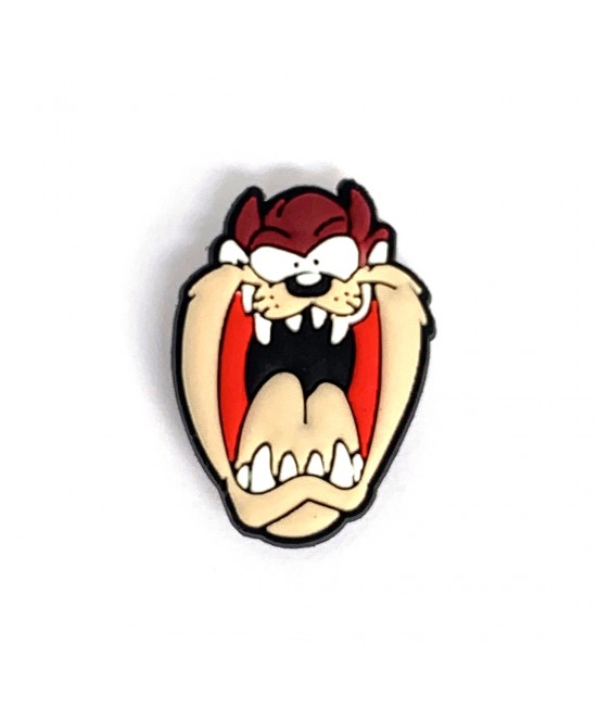 CROCS TERLİK SÜSÜ & RENKLİ AKSESUAR JİBBİTZ