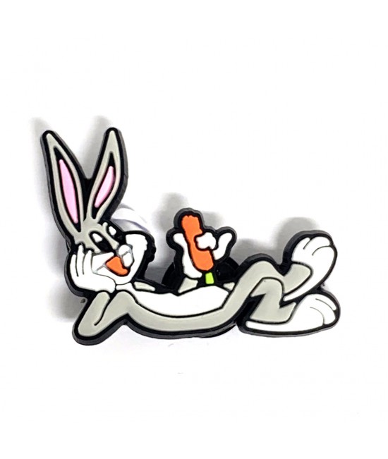 CROCS TERLİK SÜSÜ & RENKLİ AKSESUAR JİBBİTZ