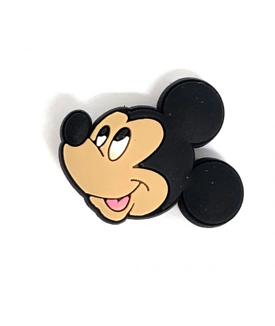 CROCS TERLİK SÜSÜ & RENKLİ AKSESUAR JİBBİTZ