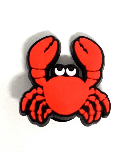 CROCS TERLİK SÜSÜ & RENKLİ AKSESUAR JİBBİTZ