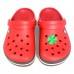 CROCS TERLİK SÜSÜ & RENKLİ AKSESUAR JİBBİTZ