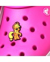 CROCS TERLİK SÜSÜ & RENKLİ AKSESUAR JİBBİTZ