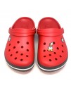 CROCS TERLİK SÜSÜ & RENKLİ AKSESUAR JİBBİTZ