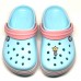 CROCS TERLİK SÜSÜ & RENKLİ AKSESUAR JİBBİTZ