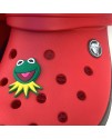 CROCS TERLİK SÜSÜ & RENKLİ AKSESUAR JİBBİTZ
