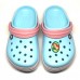 CROCS TERLİK SÜSÜ & RENKLİ AKSESUAR JİBBİTZ