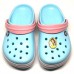 CROCS TERLİK SÜSÜ & RENKLİ AKSESUAR JİBBİTZ