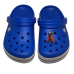 CROCS TERLİK SÜSÜ & RENKLİ AKSESUAR JİBBİTZ