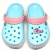 CROCS TERLİK SÜSÜ & RENKLİ AKSESUAR JİBBİTZ