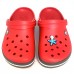 CROCS TERLİK SÜSÜ & RENKLİ AKSESUAR JİBBİTZ