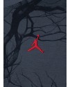 NIKE  JORDAN  FAMILY TREE AOP SS TEE ERKEK ÇOCUK TİŞÖRT