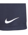 NIKE RWB BADGE SHORT ERKEK ÇOCUK ŞORT 9Q0471