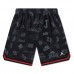 NIKE JORDAN MJ TAPING MESH PRINT ERKEK ÇOCUK ŞORT 95F929 NIKE JORDAN MJ TAPING MESH PRINT ERKEK ÇOCUK ŞORT 95F929