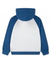 NIKE JORDAN JDN MJ AIR HBR PO HOODIE ERKEK ÇOCUK SWEATSHİRT NIKE JORDAN JDN MJ AIR HBR PO HOODIE ERKEK ÇOCUK SWEATSHİRT