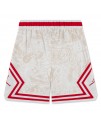 NIKE JORDAN JDB MJ AOP SPORT DIAMOND SHORT ERKEK ÇOCUK ŞORT NIKE JORDAN JDB MJ AOP SPORT DIAMOND SHORT ERKEK ÇOCUK ŞORT