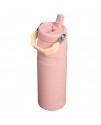 Stanley The IceFlow™ Bottle Flip Straw 2.0 0.7L / 24oz 10-11283-145 Stanley The IceFlow™ Bottle Flip Straw 2.0 0.7L / 24oz 10-11283-145